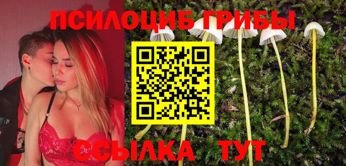 Галлюциногенные грибы мухоморы  купить   Шали  Псилоцибиновые грибы прущие грибы 