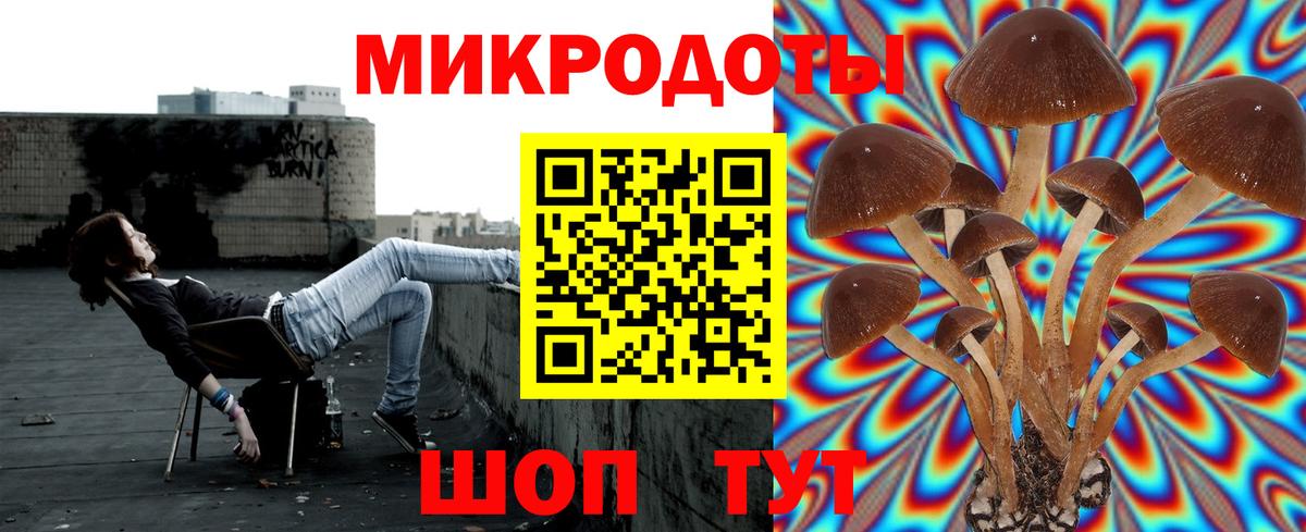 Псилоцибиновые грибы ЛСД  Вход с VPN  Шали  Галлюциногенные грибы Psilocybine cubensis 