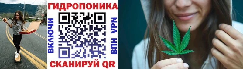ссылка на мегу зеркало где можно купить наркотик Шали Каннабис сатива