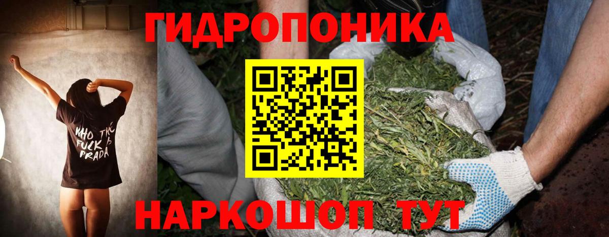 МАРИХУАНА план Шали